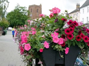 Newport in Bloom ensure flowers can be seen across the town