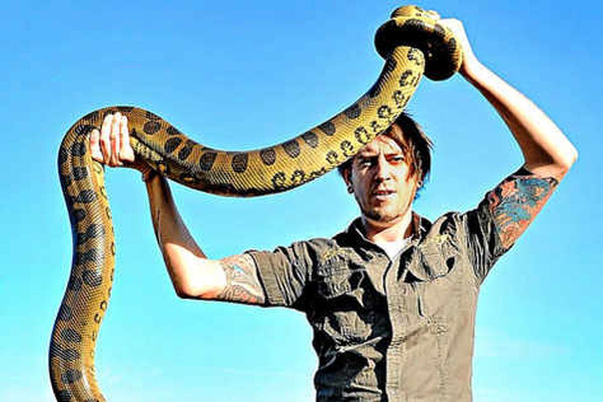 8ft-long anaconda dumped on Telford doorstep