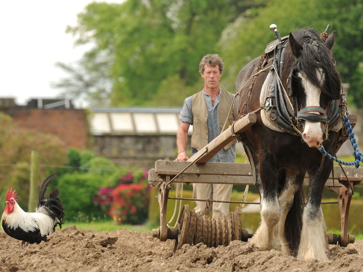 Shropshire Council will no longer run the Acton Scott Historic Working Farm.