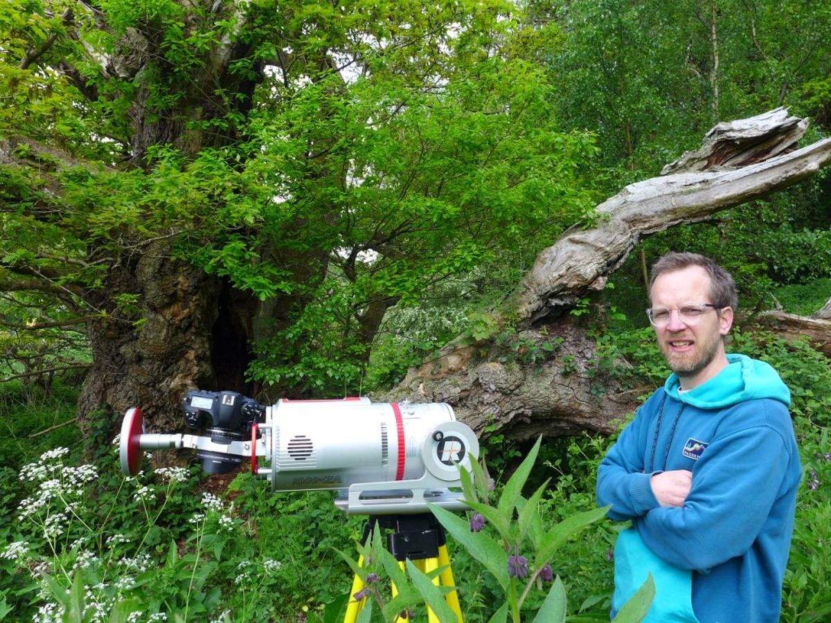 Dr Phil Wilkes scans the ancient oak