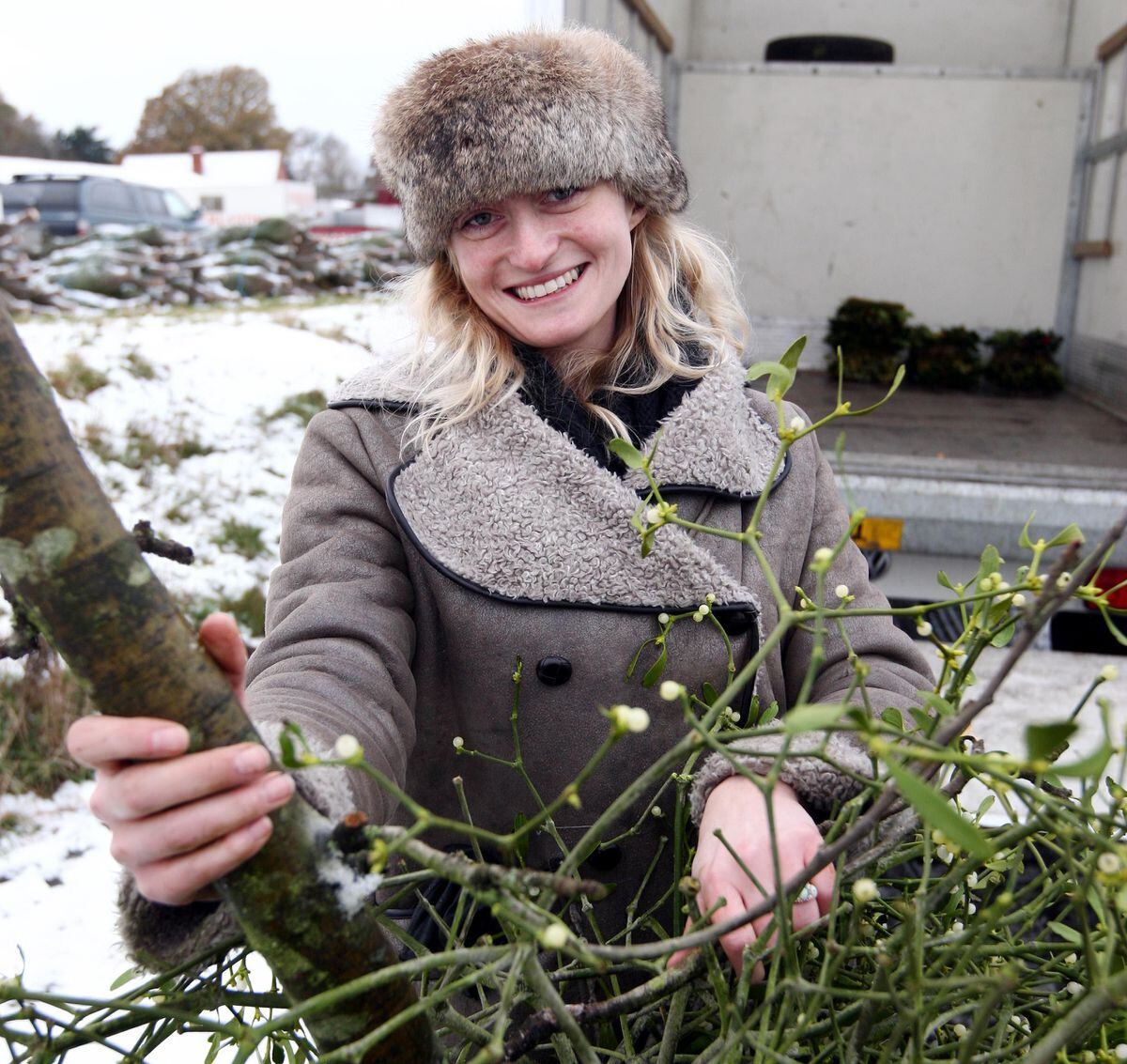 November 2010: Kate Vogel, from Oswestry, gathers mistletoe after travelling to the Tenbury Mistletoe and Holly auction for her forthcoming wedding