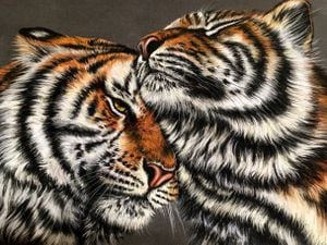 Two tigers by the three triplets