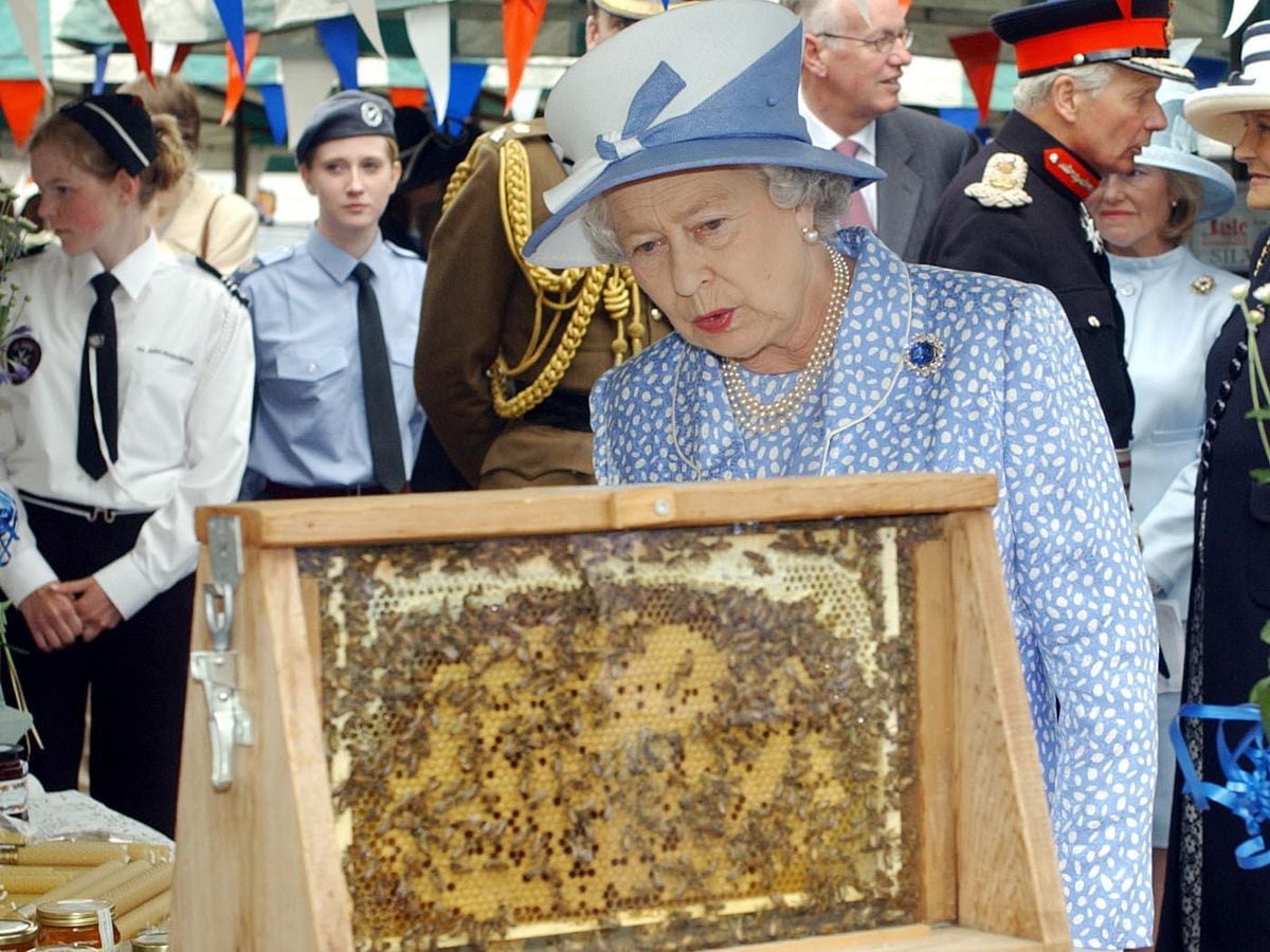 Memories come buzzing back of the Queen’s only visit to Ludlow