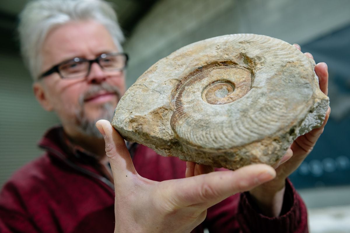 Nigel Larkin with a fossilised ammonite