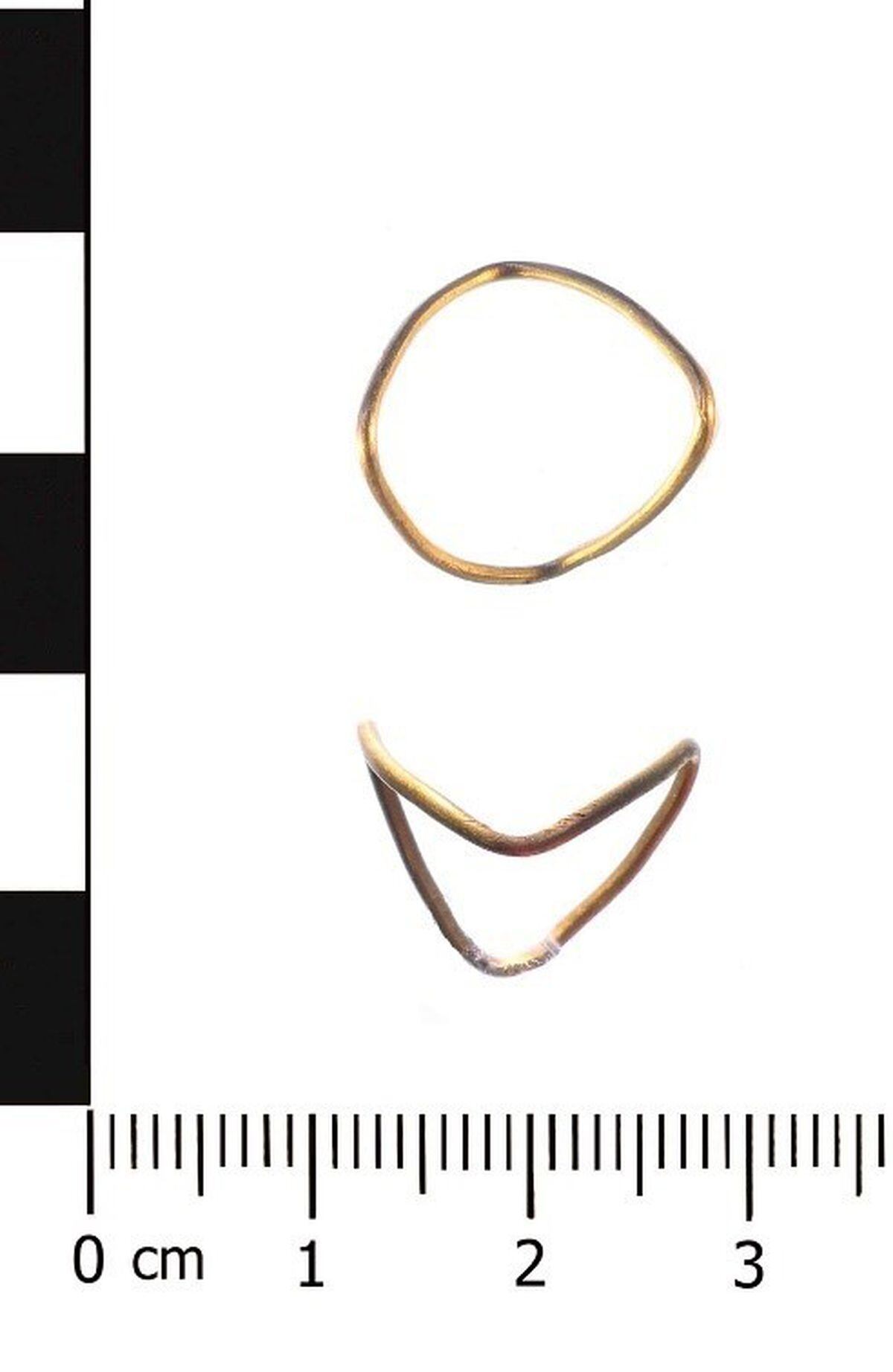 Iron Age ring found in Frodesley