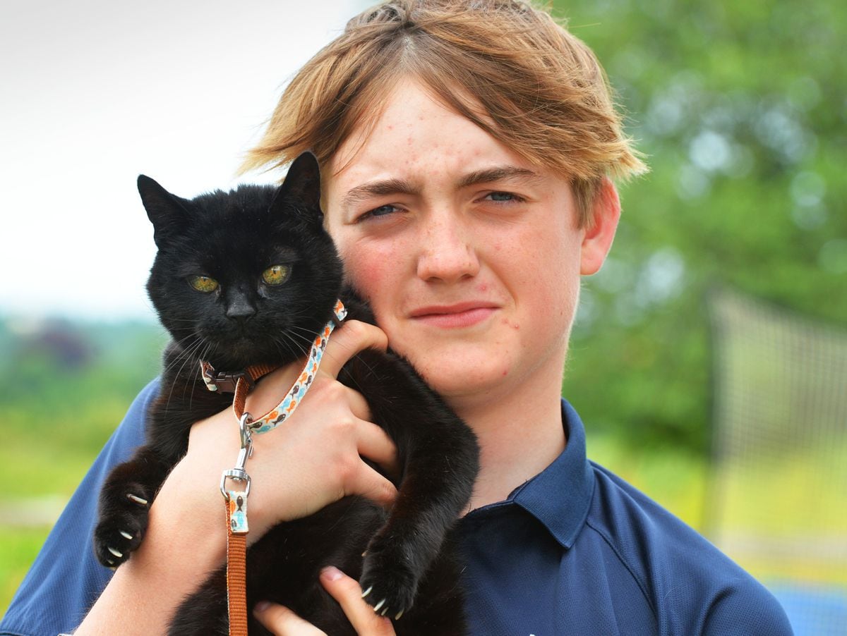 Owen Tucker, aged 14, of Cleobury North, with his cat, Jess, after she went missing for six years