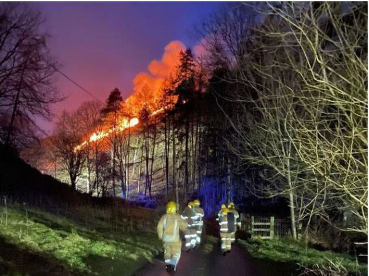 The extent of the fire. Photo: Phil Davies