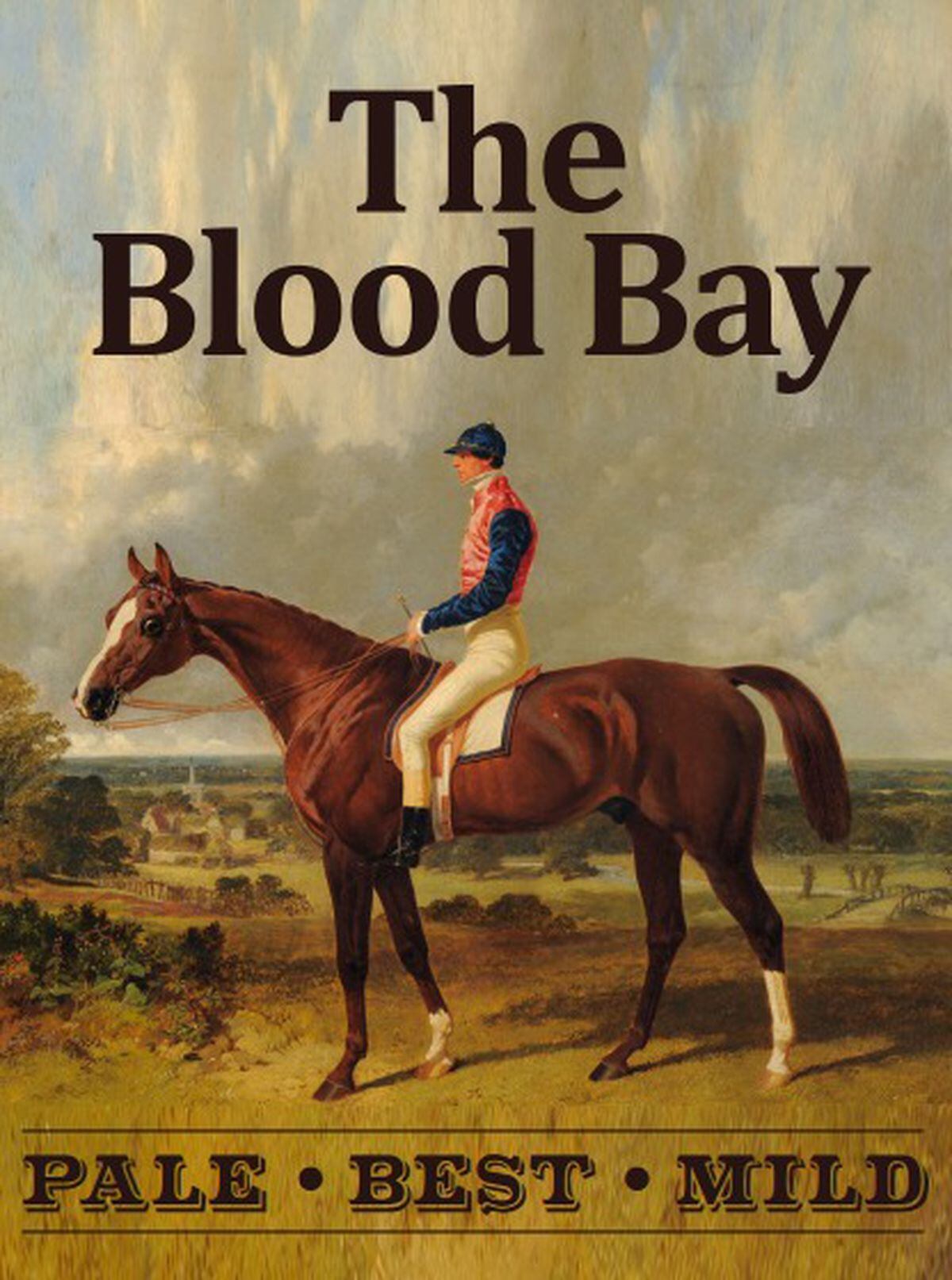 The proposed hanging sign for The Blood Bay pub in Ludlow