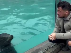 Peter was filmed performing with the sea lion at West Midlands Safari Park
