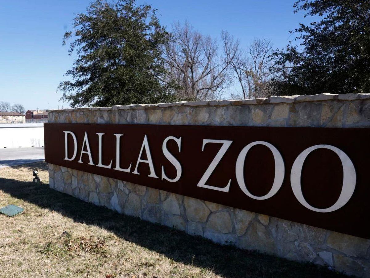 A police car sits at an entrance at Dallas Zoo