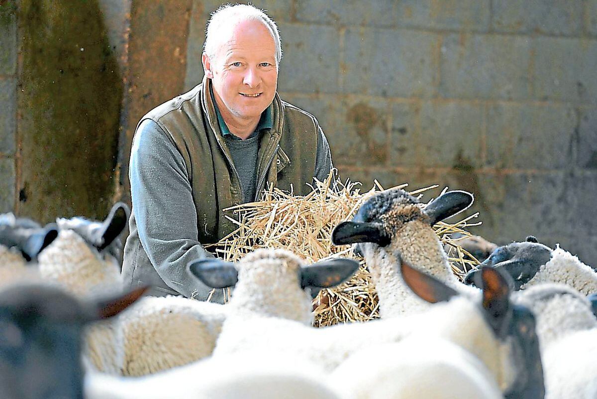 Malcolm Roberts and sheep