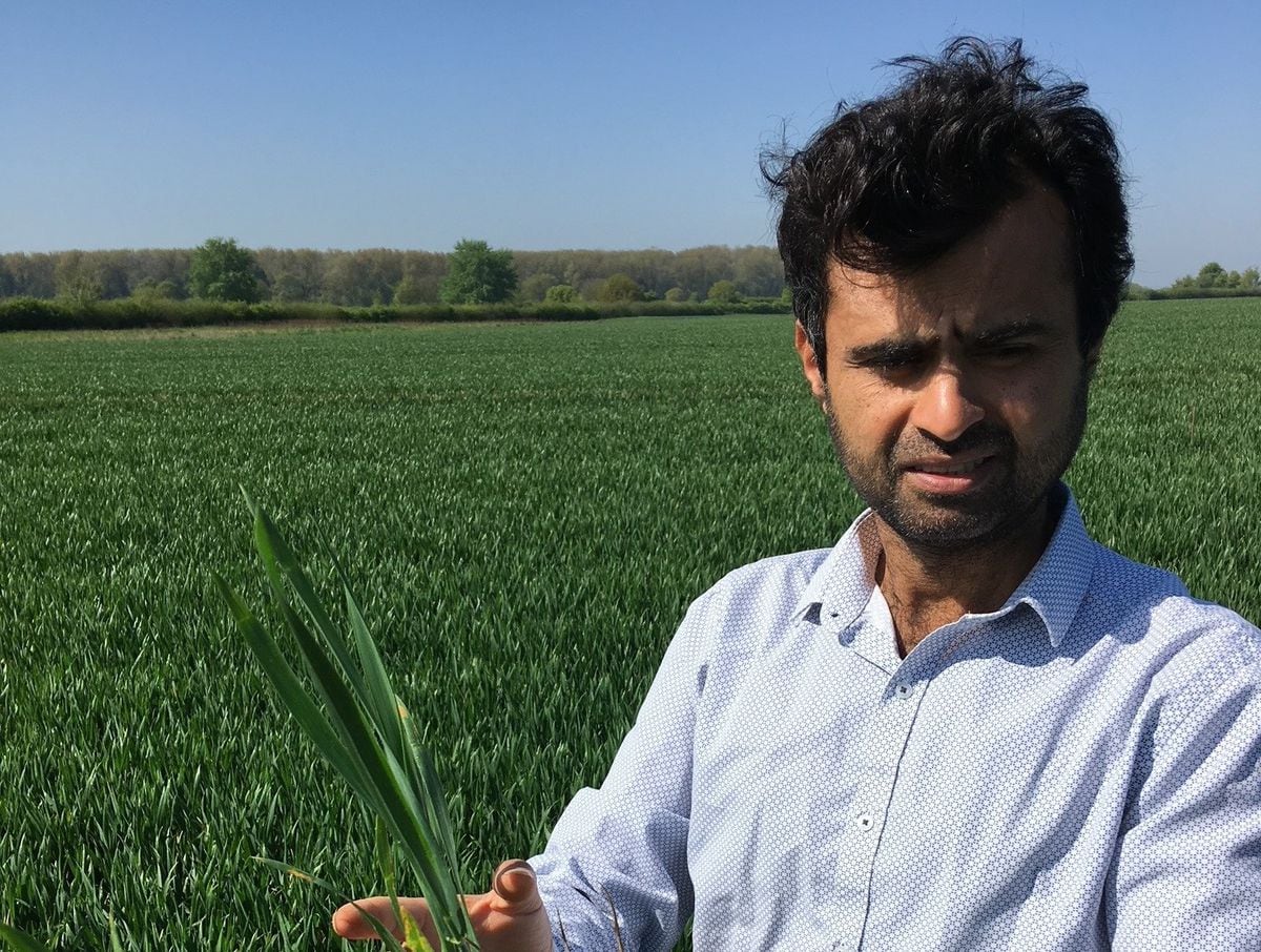 Dr Syed Shah, NIAB regional agronomist for the south and technical innovation lead