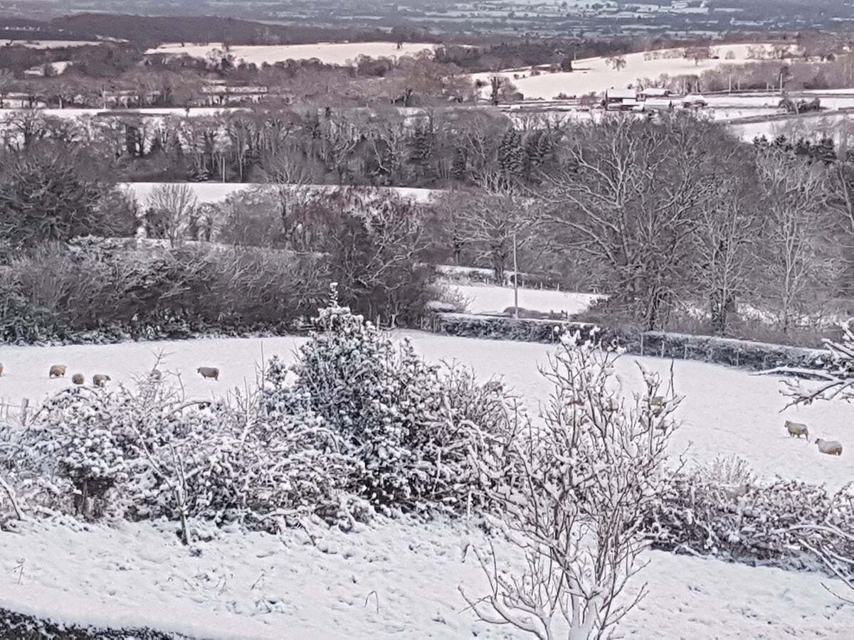 Snowy scene sent in by Helen Humphries 