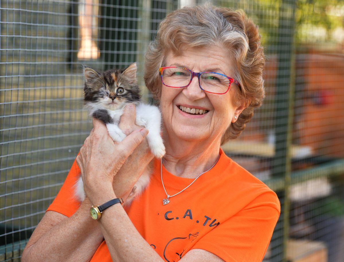 'Spirit' is one of the cats being helped, C.A.T.W (Cat Assist Team Whitchurch), pictured alongside charity co-founder Linda Allen 
