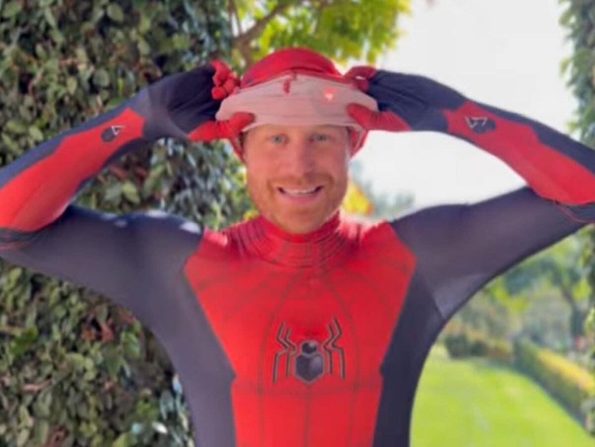 The Duke of Sussex dressed as Spider-Man for a Scottyâs Little Soldiers event
