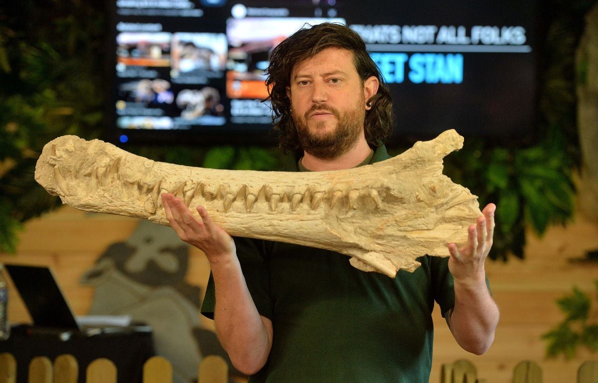 Scott shows the jaw of an extinct crocodile, the dyrosaurus