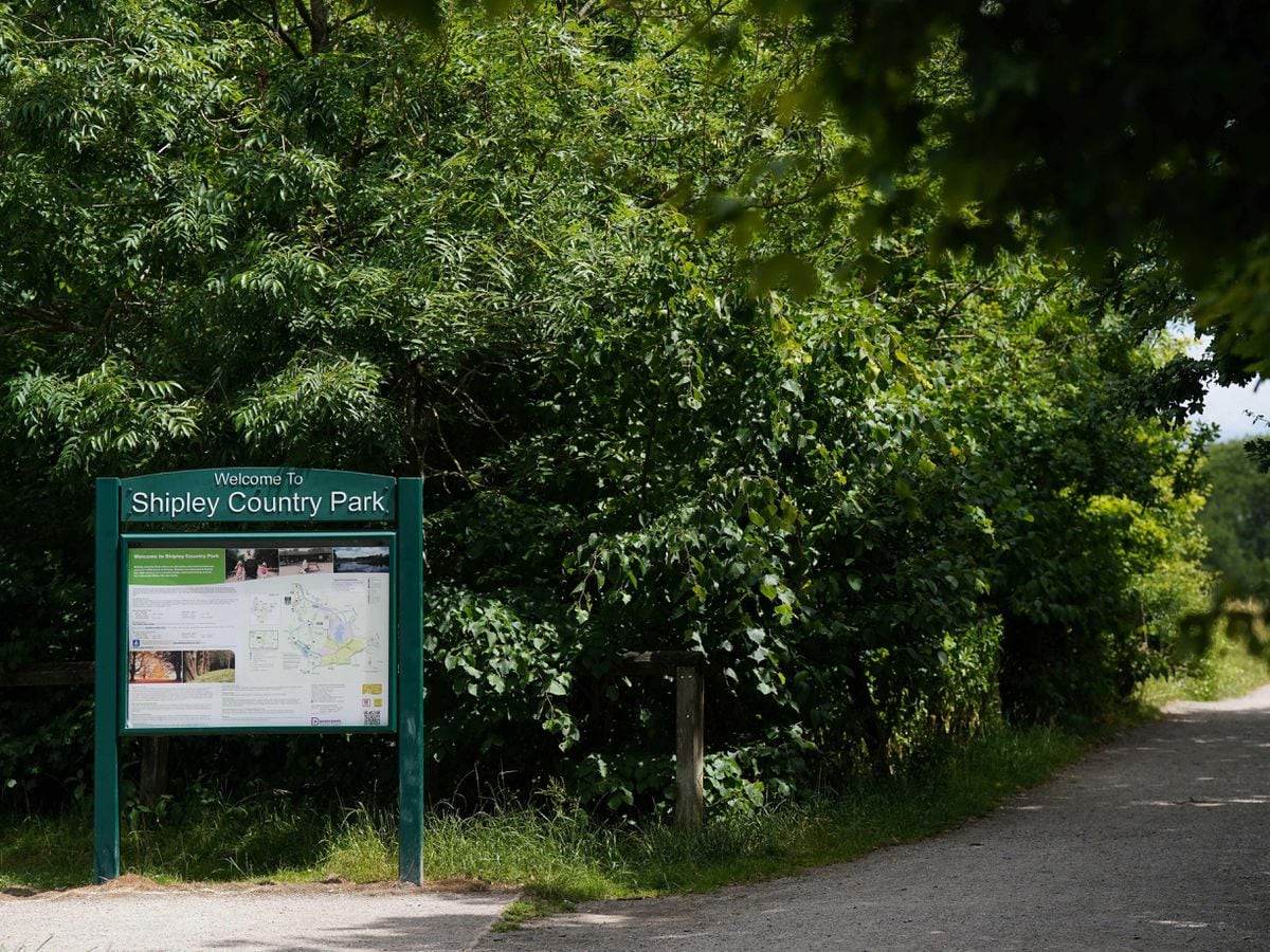 Shipley Country Park