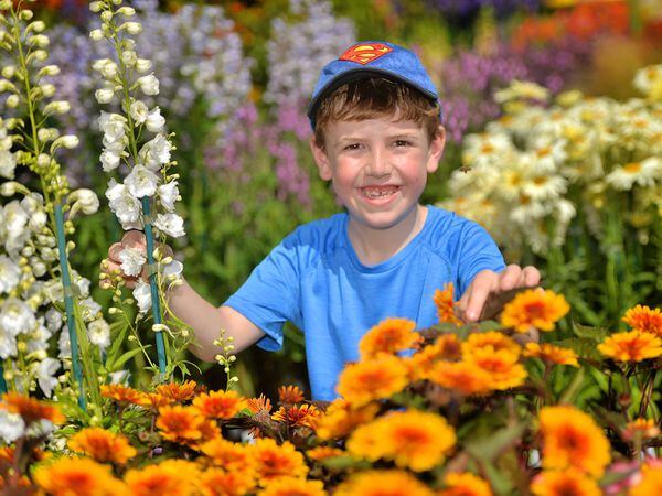 Everything that happened on Day 1 of the Shrewsbury Flower Show 