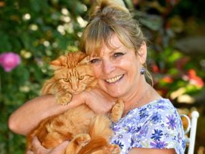 Marion Micklewright, co-founder of Shropshire Cat Rescue, has been awarded a BEM for services to feline welfare. She is pictured with her cat Rudy..