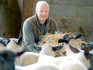 Show chairman Malcolm Roberts at work at Buckley Farm. PHOTO: PETER FLEMMICH. 