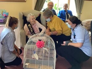 Nellie Orme receives her budgie, called Bertie