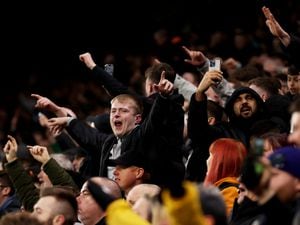Wolves fans (Getty)