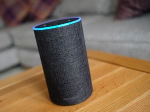 Alexa to search NHS websites