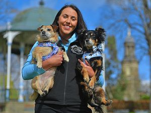 Dog Trainer Rachel Rodgers from Whitchurch who runs Nose to Trail (Pet Behaviour Service), with dogs Maisy and Rico 