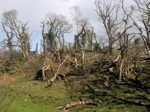 Damage to Gogarth Hall Farm in Pennal, Machynlleth, after a tornado