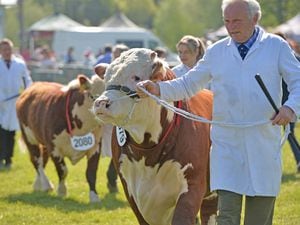 The Shropshire County Show 