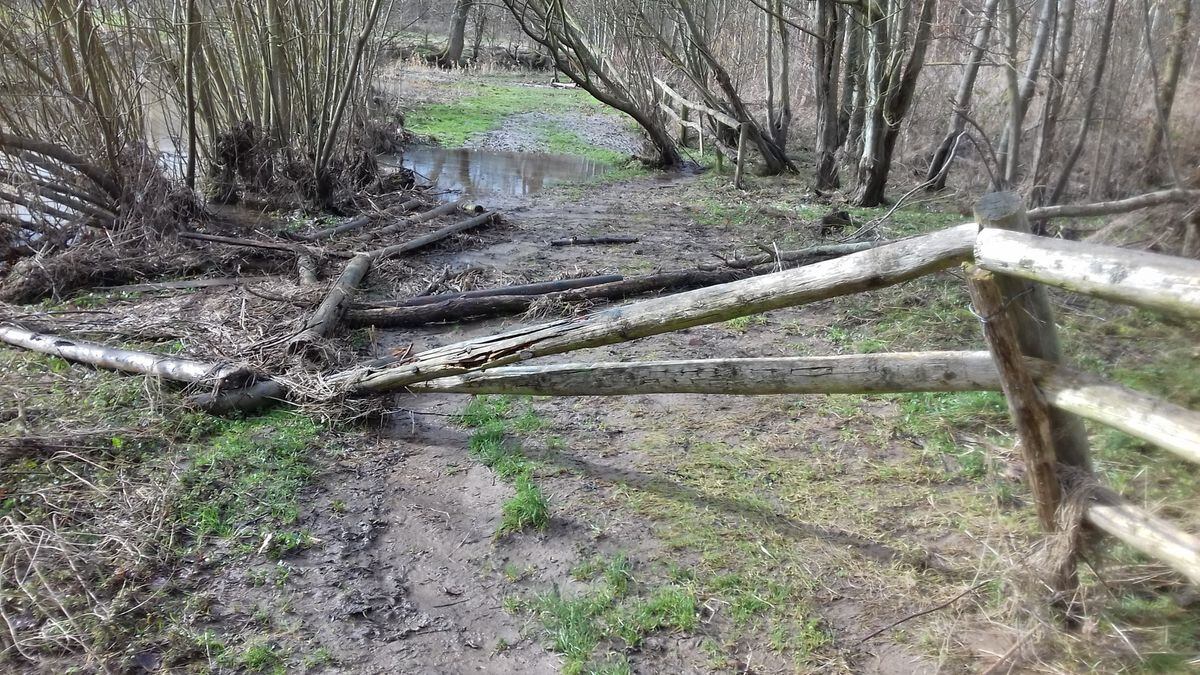 The recent storms have caused destruction at the Shropshire Hills Discovery Centre