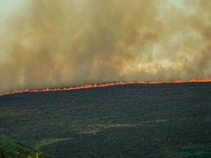 The fire began on July 18 on Llantysilio Mountain. Photo: Emma Howe.