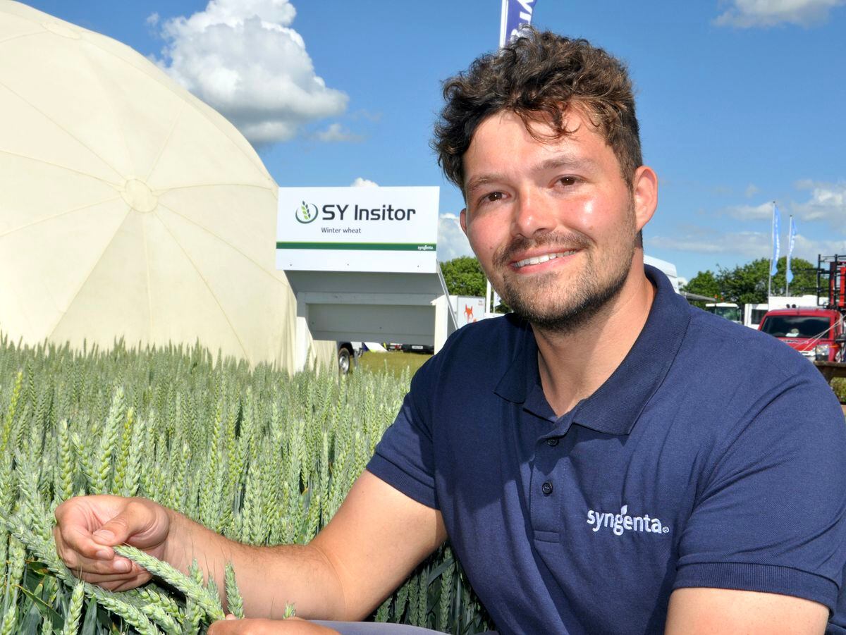 Matthew Bull, wheat seeds technical expert at Syngenta 