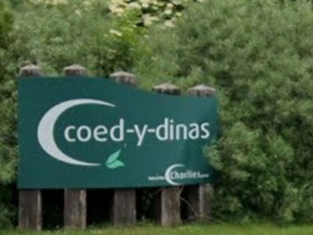 Coed Y Dinas on the outskirts of Welshpool. Picture from Google Streetview.