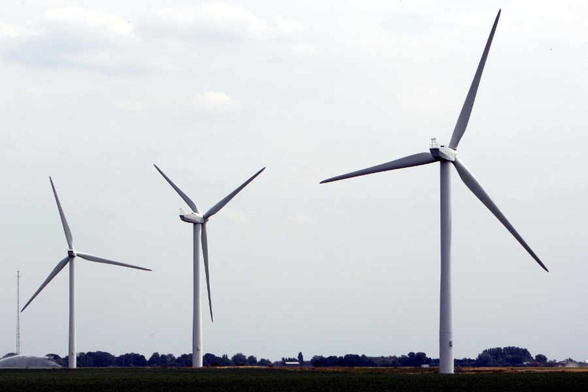 Expert backing windfarm plan