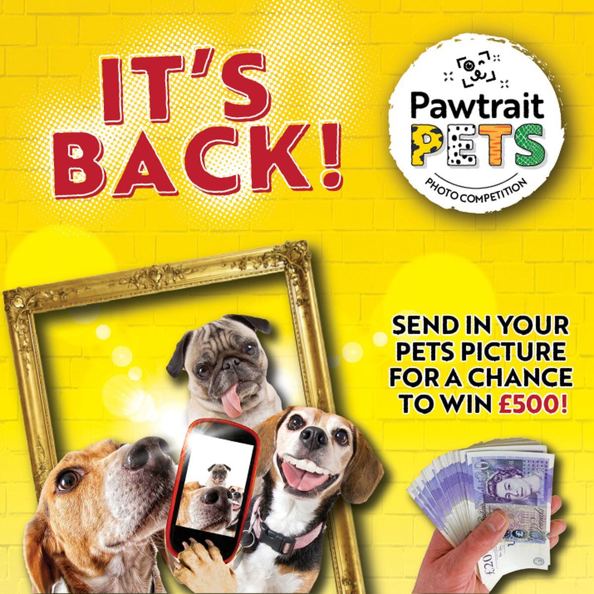 Scroll down to find out more about our Pawtrait Pets competition