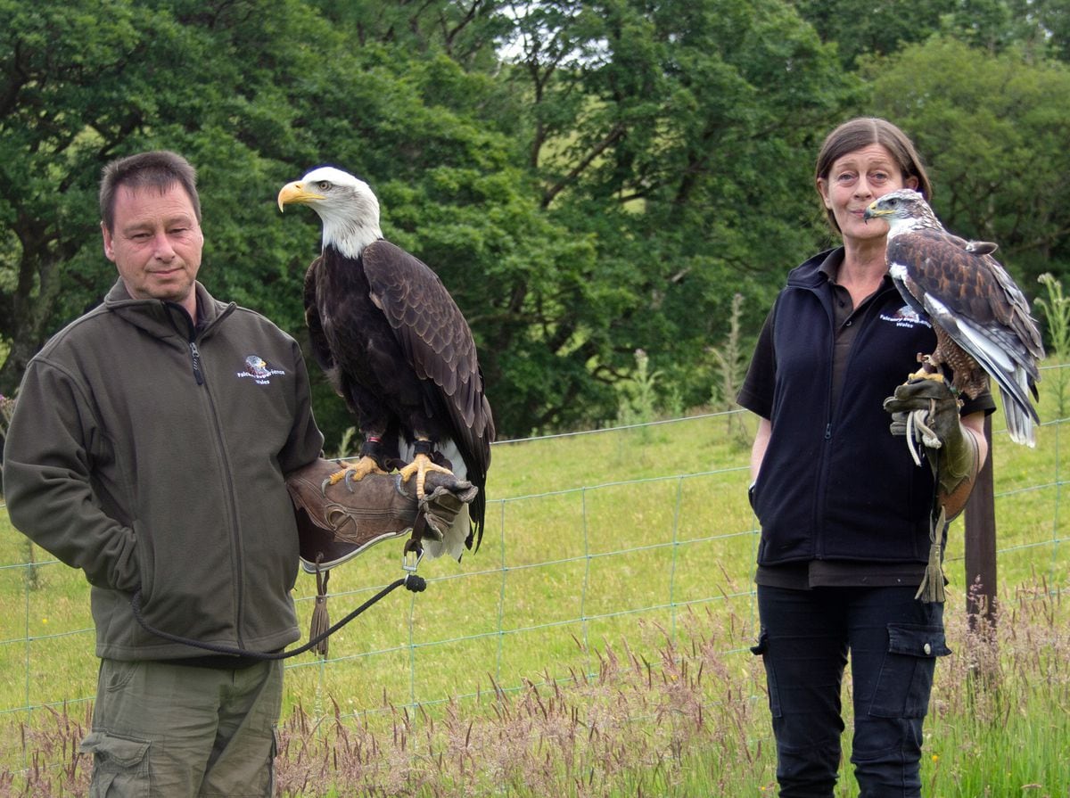 Barry Macdonald and Luce Green with two of their birds of prey