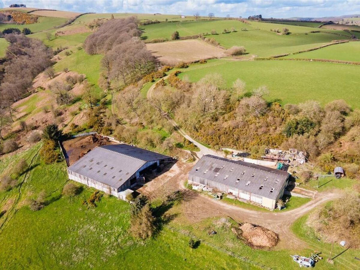 Powys farm with 250 acres of land is up for sale 