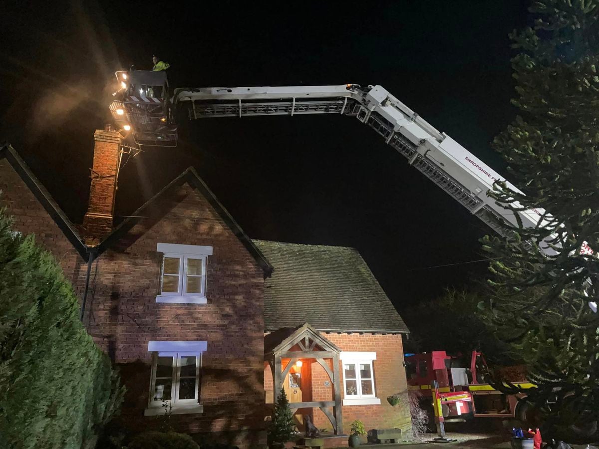 Firefighters tackle blaze in chimney after smoke spotted billowing through brickwork 