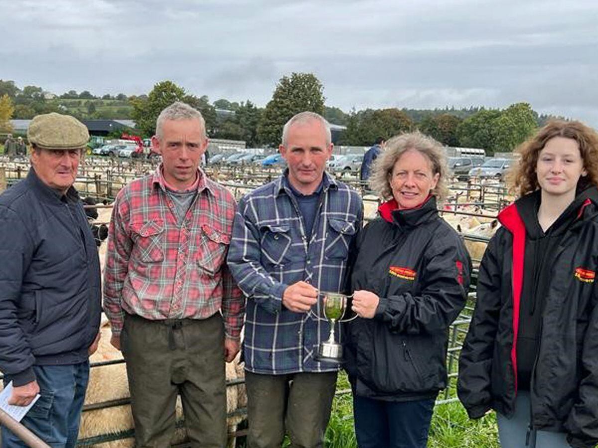 Successful auction sees more than 2000 breeding sheep sold at Bishop's Castle 