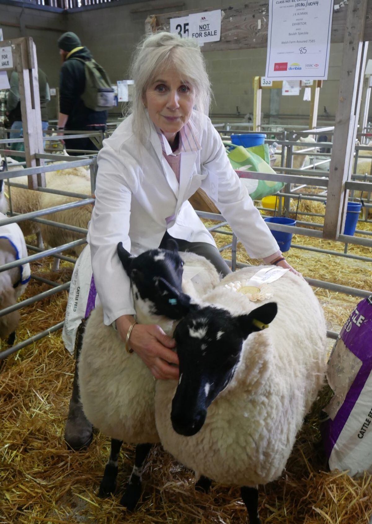 Kim Alman of Gladestry Court with her Beulah speckled face sheep which came in 5th place at the Royal Welsh Winter Fair at Llanelwedd. 