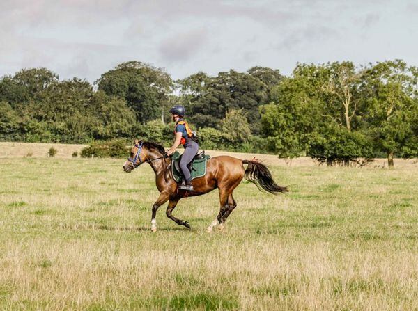 Shrewsbury horse rider chosen to represent England in Home ...