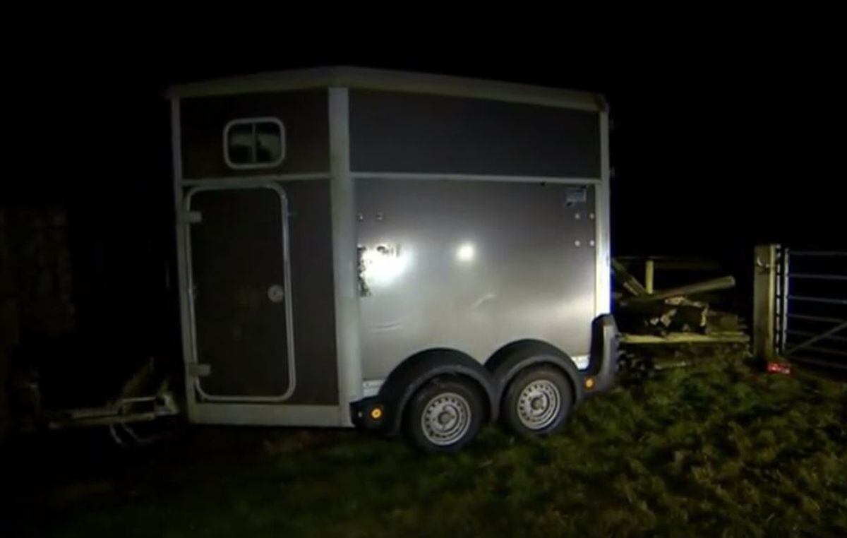 The immigrants were found in the horse box. Image: BBC