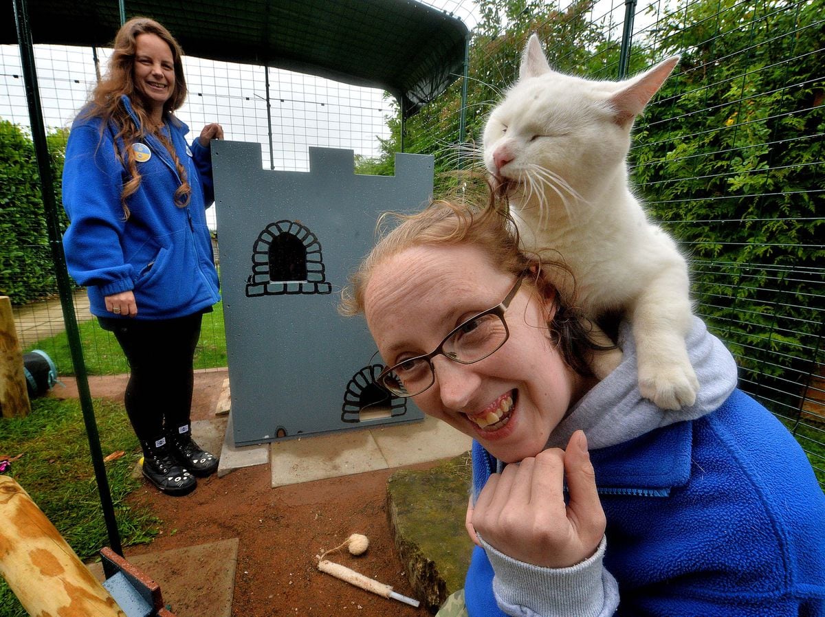 Johnny is settling into his new home, with help from Susie Phillips and Rachael Ashton