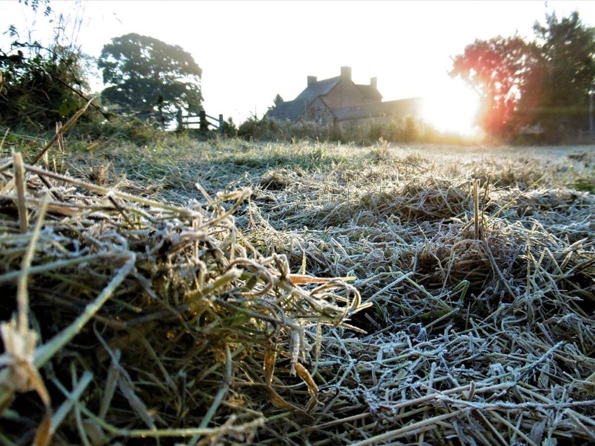 Frosty weather. Photo: Peter Steggles.