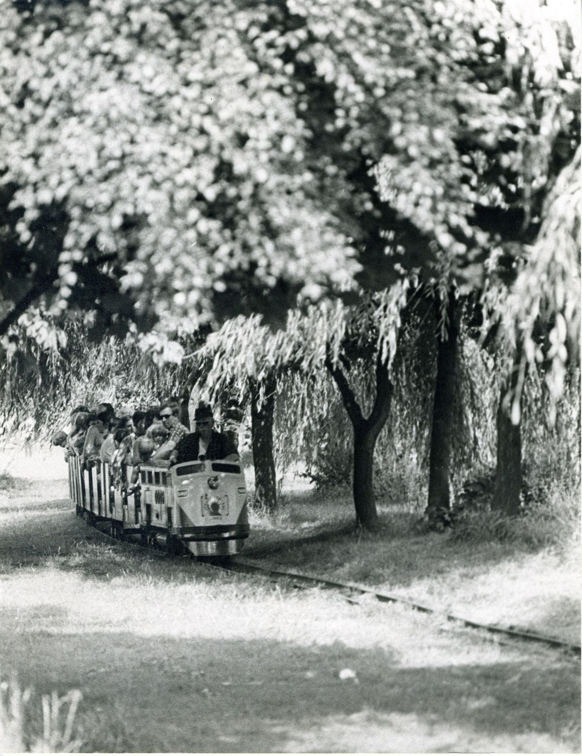 The Drayton Manor train riding through the trees in 1960