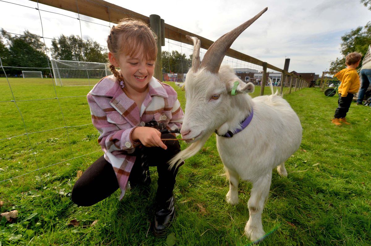 Mia Freail, 9, with Leo the goat