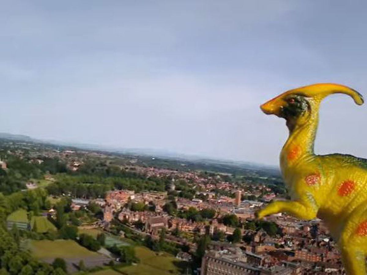 Tony soaring above Shrewsbury