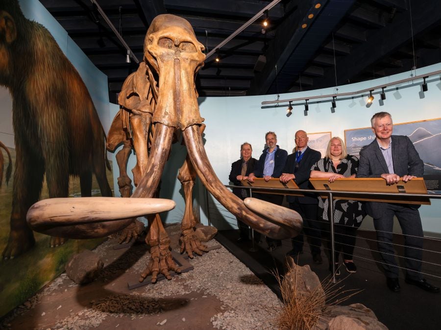 In the exhibition with the well-known replica skeleton of the fully grown male mammoth that was found less than 20 miles away. Councillor David Evans, left, Grant Wilson, Councillor David Mills, Tammy Shurmer and Richard Woolley, right.  