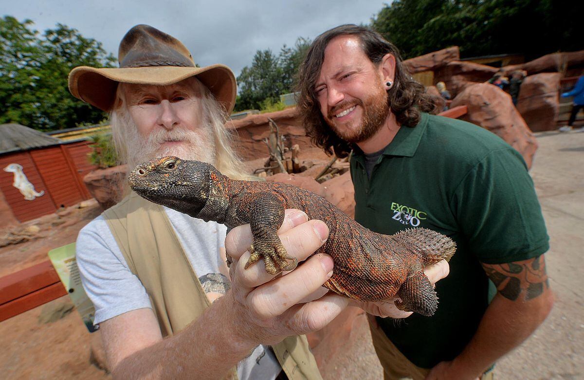 Zoo owner Scott Adams, right, looks at a dhab lizard with reptile expert and TV presenter Mark O'Shea 